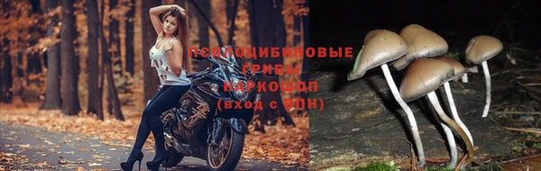 MDMA Алексеевка