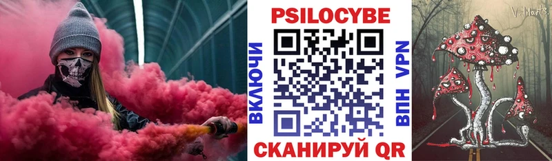 дарнет шоп mega маркетплейс Псилоцибиновые грибы GOLDEN TEACHER Шадринск